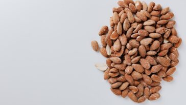 découvrez tout sur les amandes : origine, bienfaits, utilisations et recettes. des informations essentielles pour apprécier ce délicieux fruit à coque.