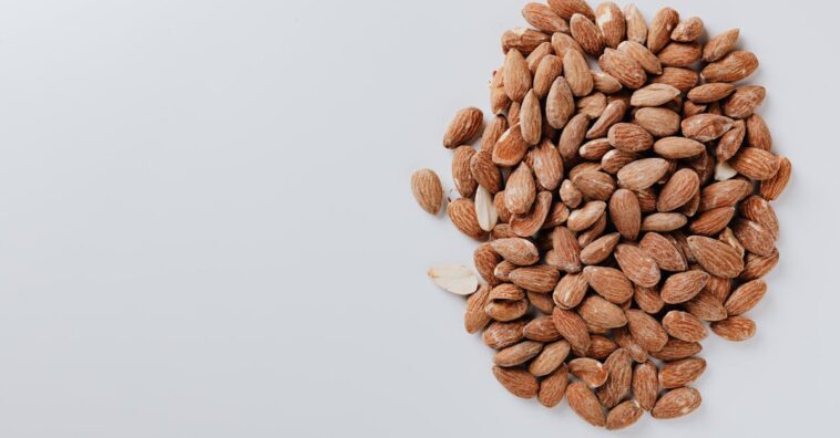 découvrez tout sur les amandes : origine, bienfaits, utilisations et recettes. des informations essentielles pour apprécier ce délicieux fruit à coque.