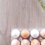 découvrez tout sur les oeufs : recettes, bienfaits, et astuces pour les préparer. trouvez des idées savoureuses pour cuisiner les oeufs de différentes manières.