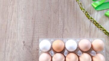 découvrez tout sur les oeufs : recettes, bienfaits, et astuces pour les préparer. trouvez des idées savoureuses pour cuisiner les oeufs de différentes manières.