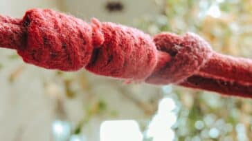 découvrez tout ce que vous devez savoir sur node, y compris son fonctionnement, ses avantages et ses cas d'utilisation.