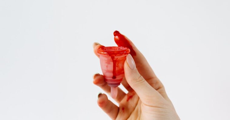 découvrez tout ce qu'il faut savoir sur les menstruations, leurs cycles et leurs impacts sur la santé féminine.