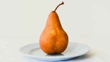 découvrez une sélection de fruits délicieux et savoureux pour apporter une touche de fraîcheur à votre quotidien.